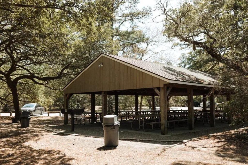 the picnic shelter in the maritime forest of first landing in virginia beach with grills, picnic tables, and trash cans