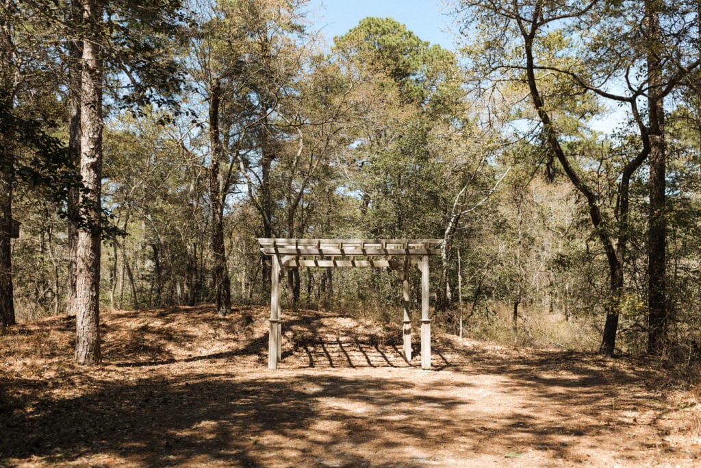 a wooden arbor is in the middle of a forest with pine needles on the ground
