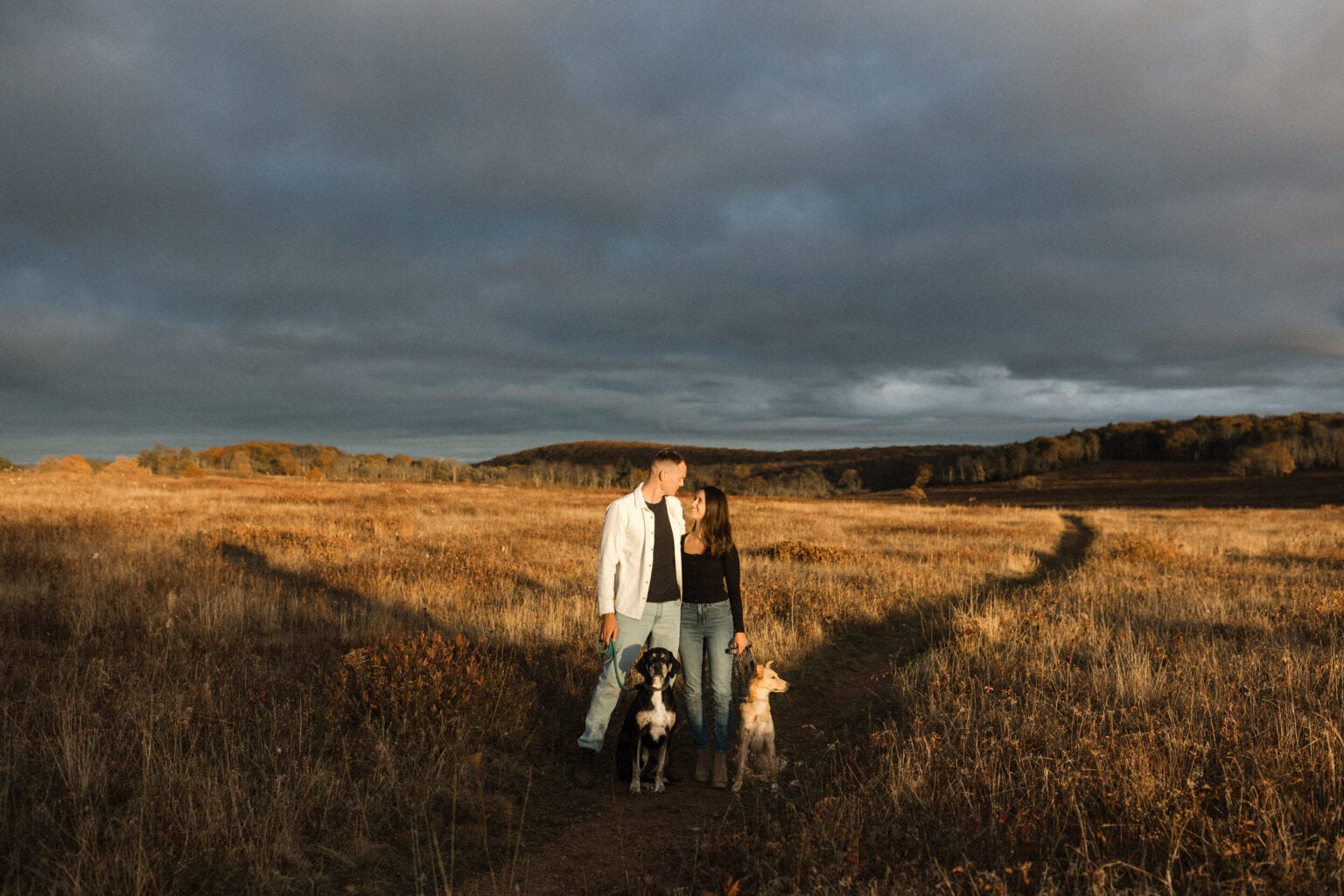 a couple look at each other lovingly with their two dogs by their side. the sky is dark behind them but golden sunlight shines on them as they stand in a big meadow